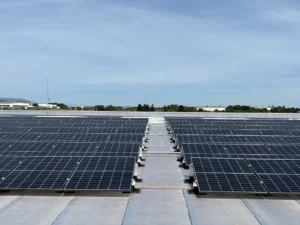 SOPREMITRA - SOPREMA