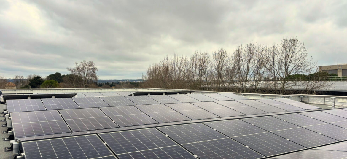 PV PHYTOCONTROL