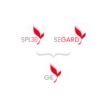 LOGO FURYGAN 2