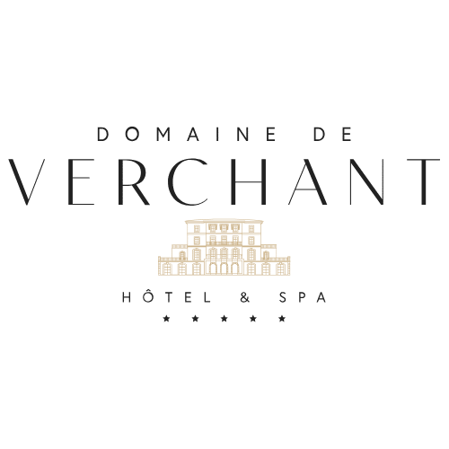MAINTENANCE PHOTOVOLTAIQUE VERCHANT